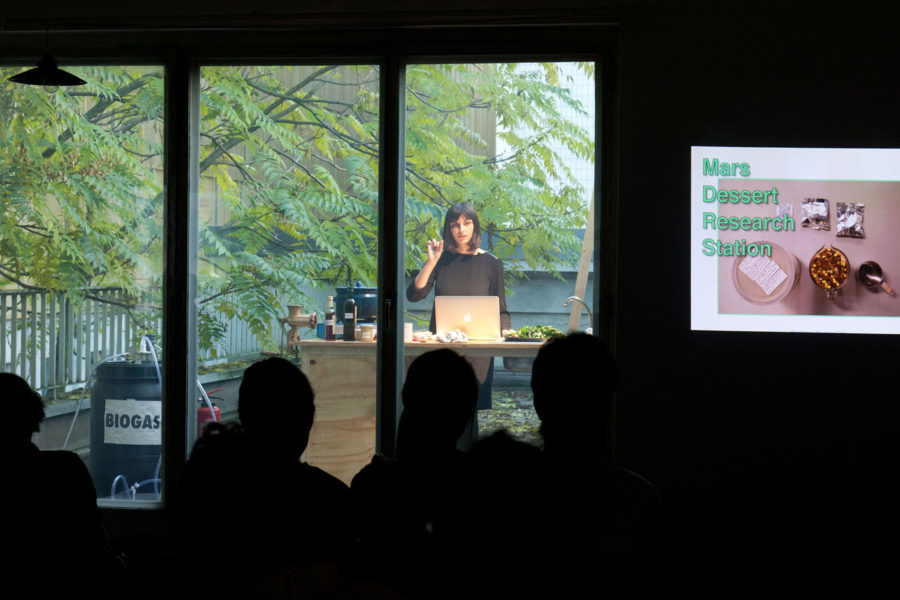 lecture performance (photo: Sven Hagolani)